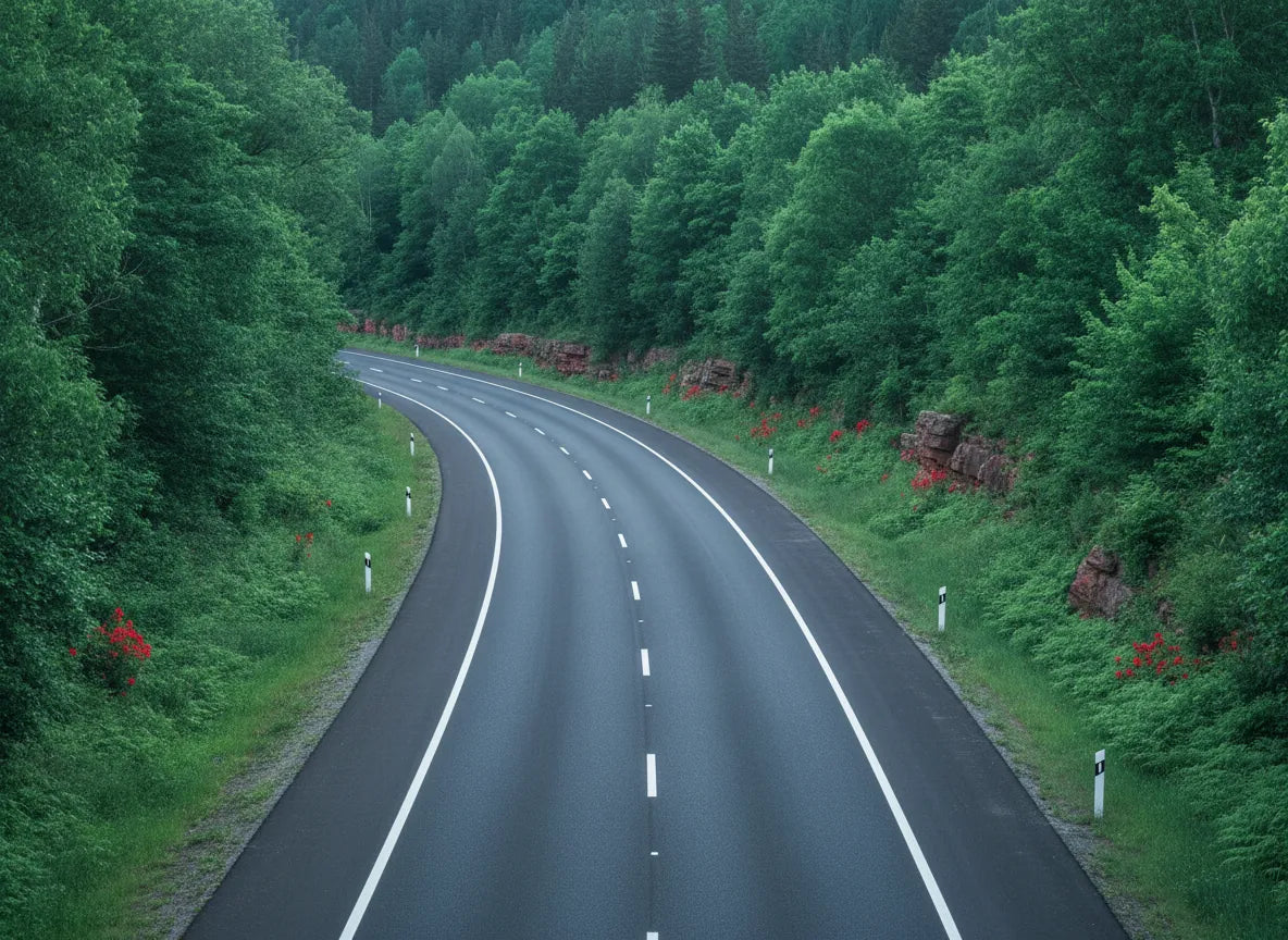 Curso Superior en Gestión Ambiental en la Construcción y Conservación de Carreteras